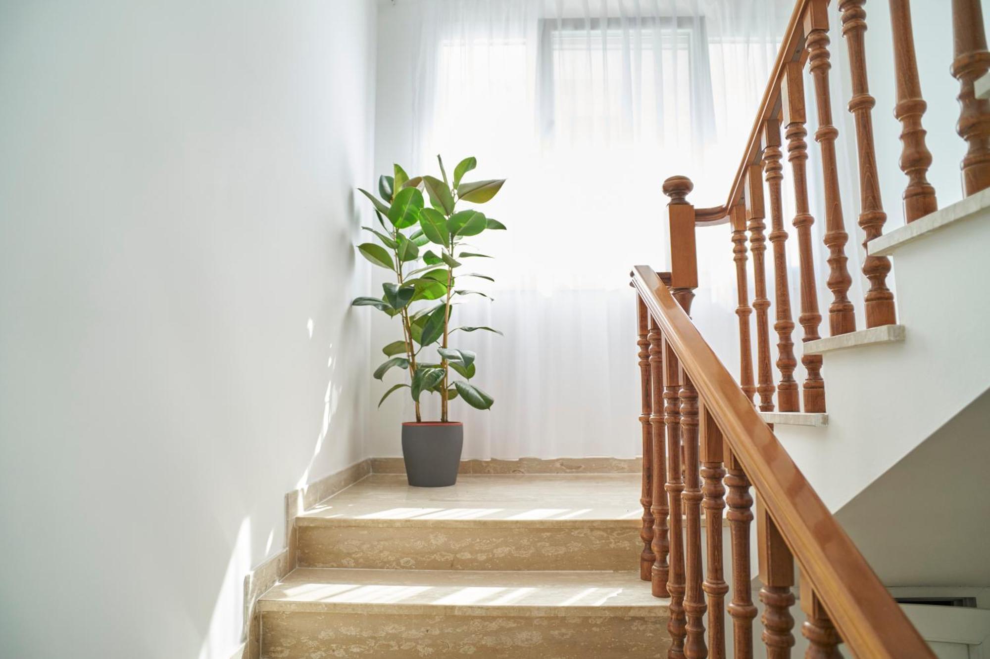 Villa Borghesi Suites Fronte Mare 리미니 외부 사진